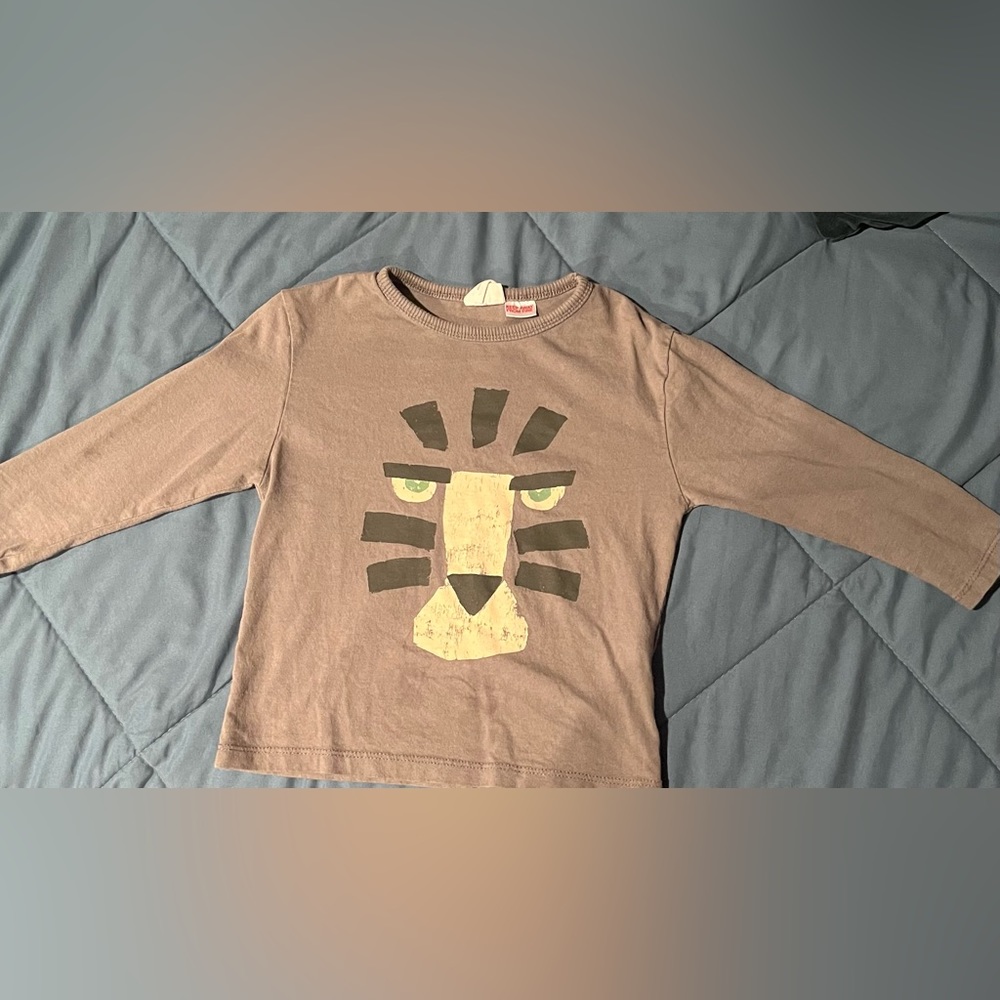 Zara Shirt